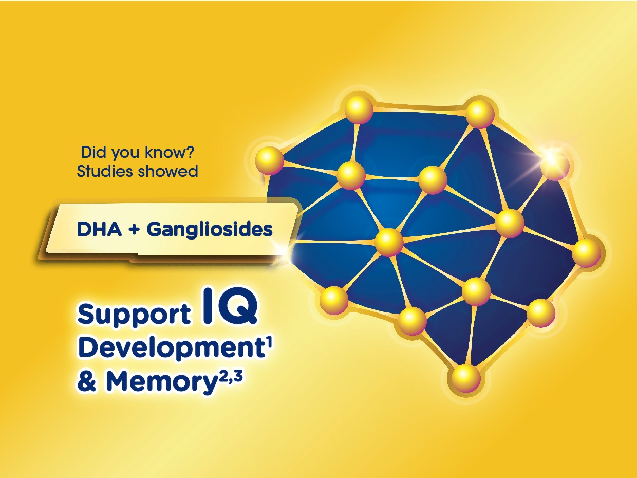 Anmum Essential Gold supports IQ development and memory