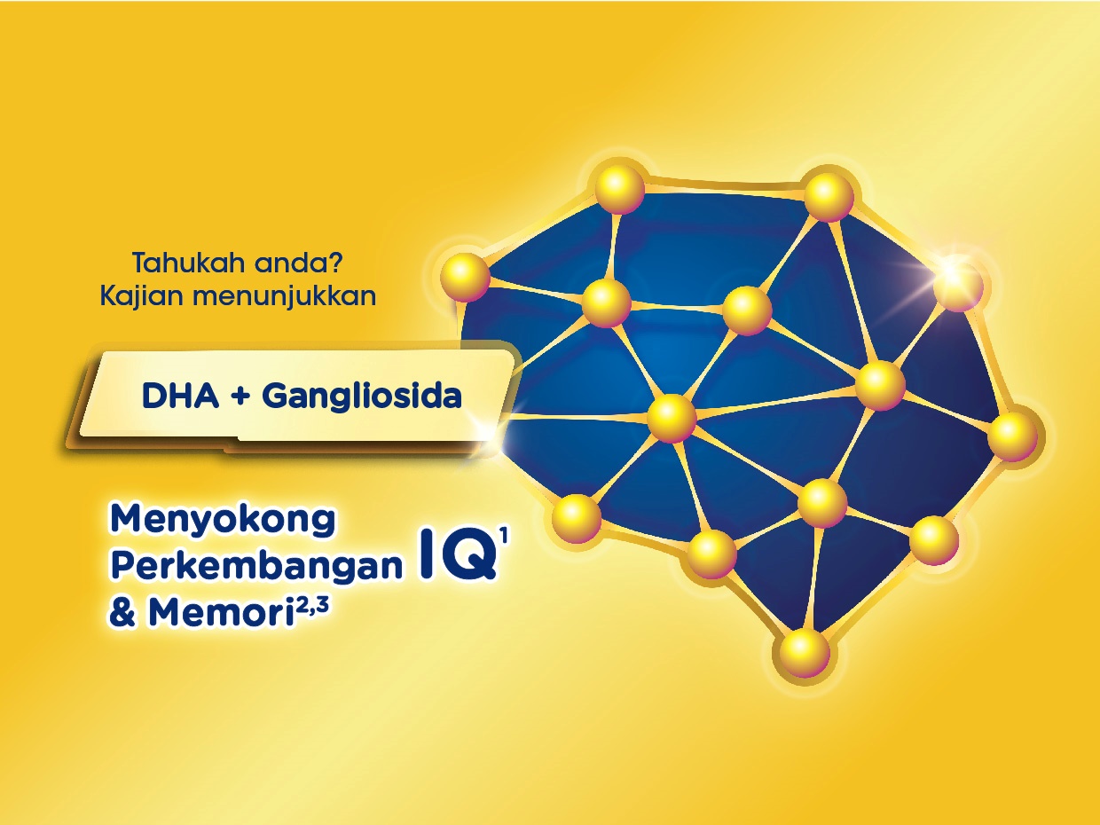 Anmum Essential Gold menyokong perkembangan IQ & memori